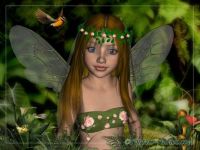Beautiful Fairies