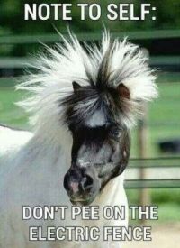 Friday Funny 2