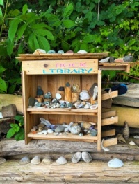 A seashell library
