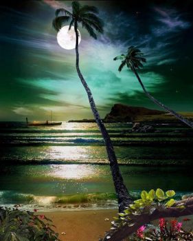 sunset in hawaii