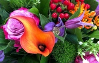 flowers