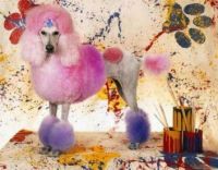 painted poodle