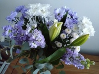 Chrysanthemum and Stocks