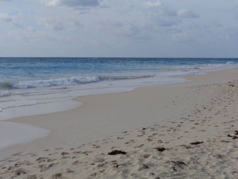 Bermuda beach this morning.