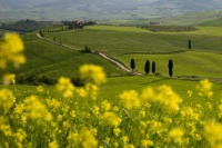 Gladiator road, Tuscany