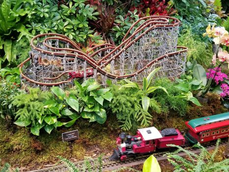 botanical garden train show  3