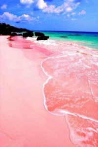 Praia de areia rosa nas Bermudas!!!