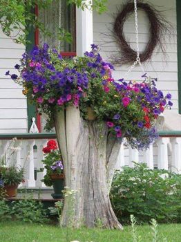 Tree Stump as Flower Planter