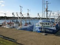 Virksund