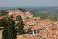 Roof tiles on a mountain side near wine district of Barolo