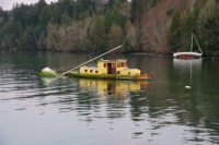 Abandoned in Ganges Harbour