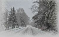 Maine  winter scene