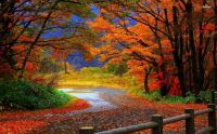 Fall Colors2