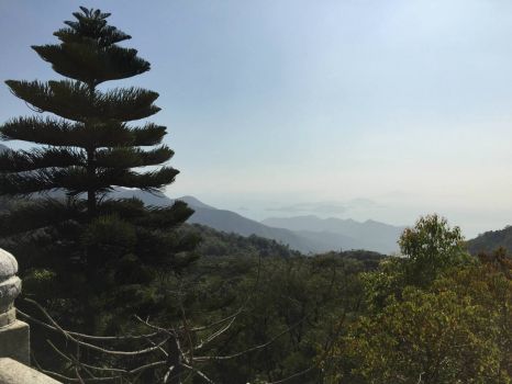 View from The Big Buddha