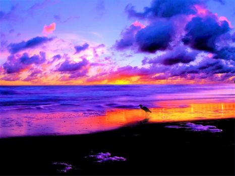 Solve Beach Sunset jigsaw puzzle online with 266 pieces