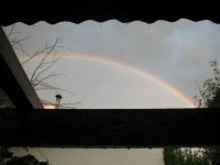 rainbows