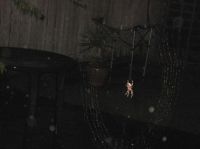 Orb Spider2.jpg