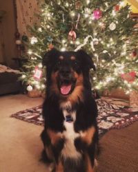 Merry Christmas from Cinder