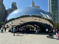 The Bean