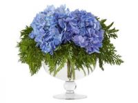 Lovely Hydrangea and Fern