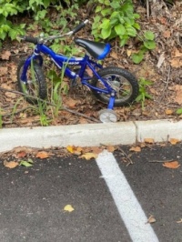 Blue bike (a)
