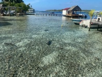 Fakarava South