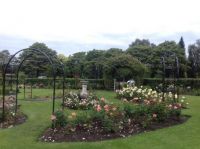 Rose Garden, Bantock Park, Wolverhampton, UK