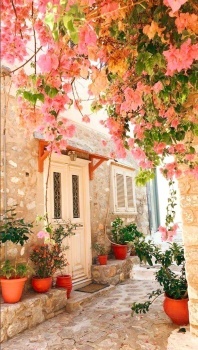 O rosa em algum lugar da Grécia !!!