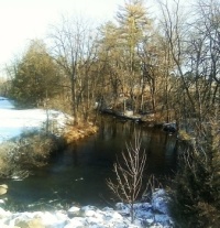 Artesian Stream