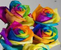 Rainbows