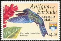 Postage Stamps - Barbuda Mail - Blue Headed Hummingbird