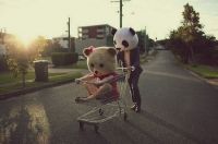 WRITE A CAPTION! BEAR BASKET