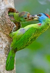 Feeding Time