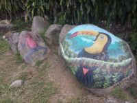 Tucan - Palomo