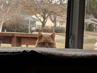 IMG_20181116_094340