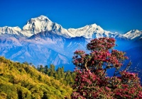 Ghorepani Poon Hill, Nepal