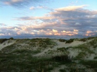 Outer Banks Dunes