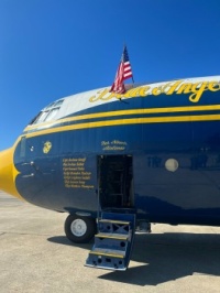 Fat Albert