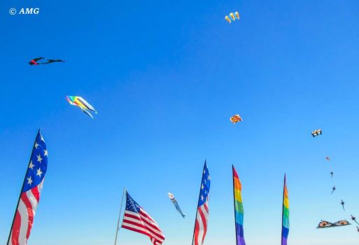 Flags and Kites - Ocean City, Maryland