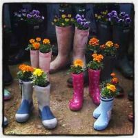 wellies-in-bloom