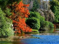 River in Autumn: a classic autumn scene...