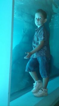 Reflecting