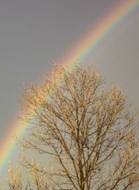 Stormy rainbow