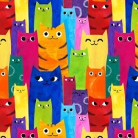 Curious Cats
