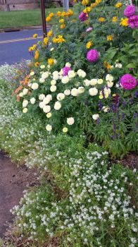 Streetside bouquet