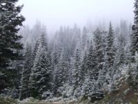 Dusting of snow on Mt Rainier