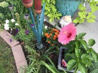 Tiny flower bed