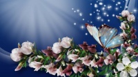 Spring butterfly