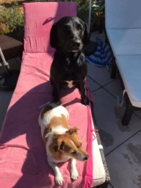 200649631_10158868173360100_665173683433047642_n