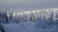 Winter IIIb